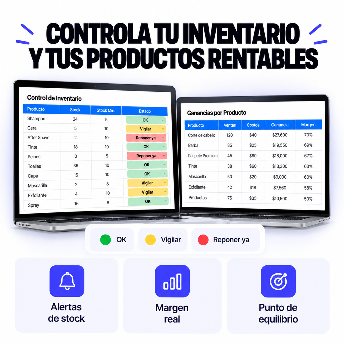 Kit de plantillas: Negocio Bajo Control