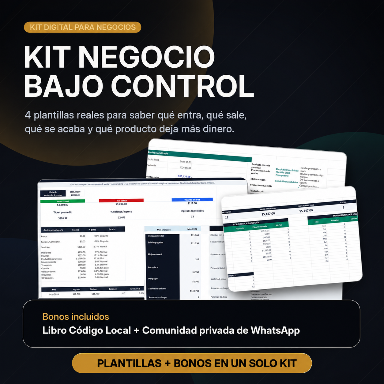 Kit de plantillas: Negocio Bajo Control